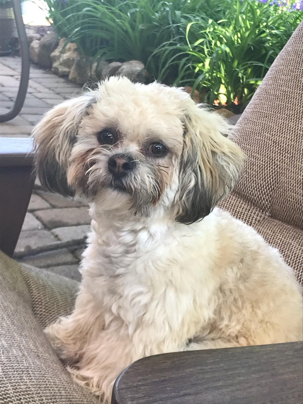 shichon near me